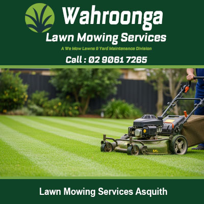 Expert lawn mowing with precision striping for beautiful gardens in Asquith NSW area