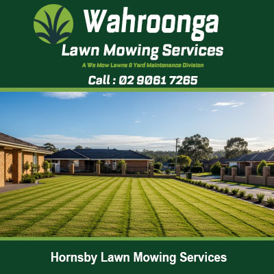Expertly maintained lawn with perfect mowing stripes in Hornsby New South Wales suburb