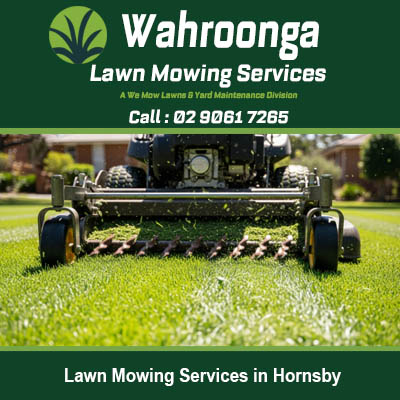 Close up of professional lawn mower cutting fresh grass for lawn services in Hornsby NSW