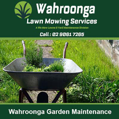 Wheelbarrow filled with plants in Wahroonga
