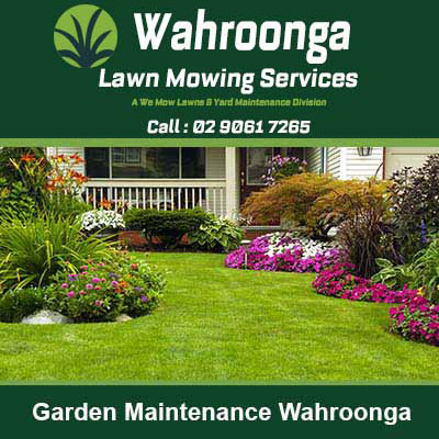 A well maintained front yard in Wahroonga
