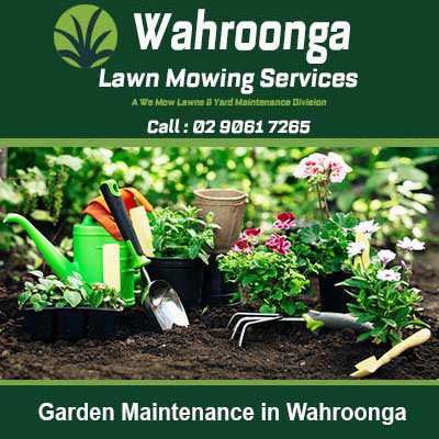 Gardening tools arranged with flowering plants in Wahroonga