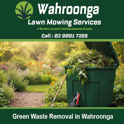 Wheelie bin filled with garden clippings in Wahroonga