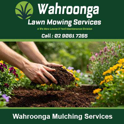 Hands spreading dark mulch around plants in Wahroonga