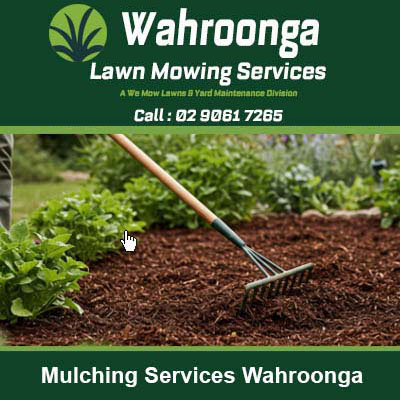 Rake spreading dark mulch around plants in Wahroonga