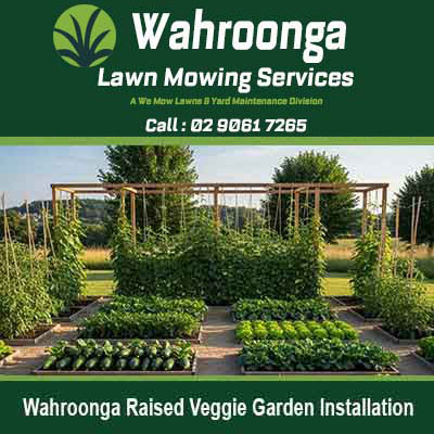 Organized raised wooden garden beds in Wahroonga