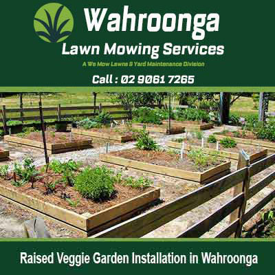 Raised garden beds with vegetables and plants in Wahroonga