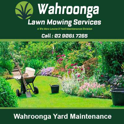 Well maintained garden with lawn in Wahroonga
