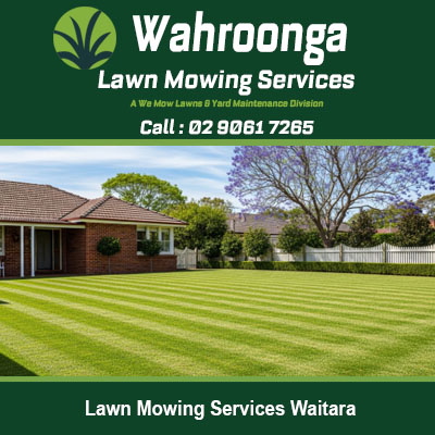 Freshly mowed lawn with striped pattern by certified lawn mowing services in Waitara NSW